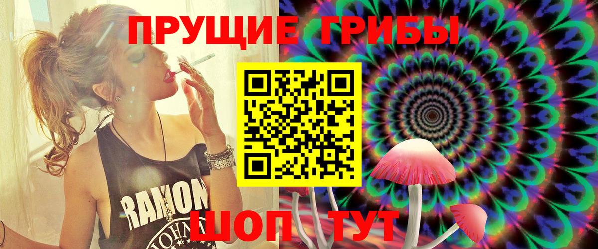 Псилоцибиновые грибы Psilocybe  Вход с VPN  Каменка  Псилоцибиновые грибы мицелий 